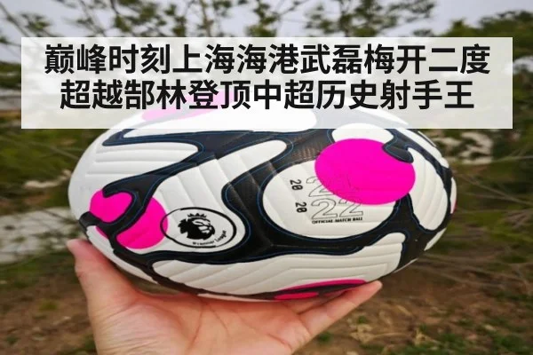 巅峰时刻上海海港武磊梅开二度超越郜林登顶中超历史射手王